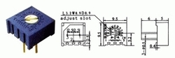 Trimr   5K  63P osa shora