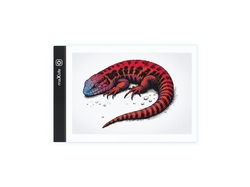 Dětská kreslící deska MAXLIFE MXGT-01