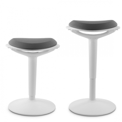 Aktivní ergonomická stolička Zippy (bílá a šedá)
