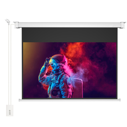 Elektryczny Ekran Projekcyjny Ścienny 100" 16:9