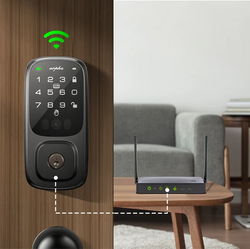 ARPHA SP300 Smart Door Lock dráty