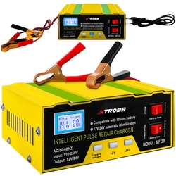 Nabíječka baterií 12V / 24V