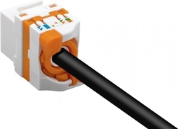 Złącze Keystone RJ45 CAT 6 STP 250MHz Snap-In