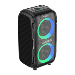 Bezdrátový reproduktor Bluetooth W-KING T9 Pro 120W + 2 mikrofony (černý)