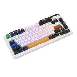 Bezdrátová mechanická klávesnice Royal Kludge KZZI K75 pro RGB, Moment Switch (černá a bílá)