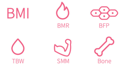 Interaktivní váha s podložkou HiMirror Smart Body Scale