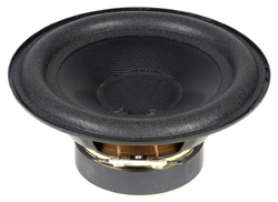 5DR61007 reproduktor
