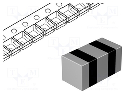 NFZ2MSM301SN10L