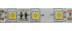 LED pásek 10mm bílý, 60xLED5050/m, IP65, cívka 5m