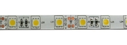 LED pásek 10mm, denní bílá, 60xLED5050/m, IP65, modul 5cm